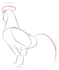 Come disegnare: Gallo