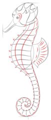How to draw: Seahorse