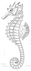 How to draw: Seahorse