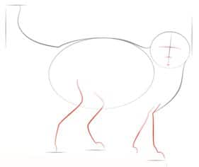 How to draw: Cat 3