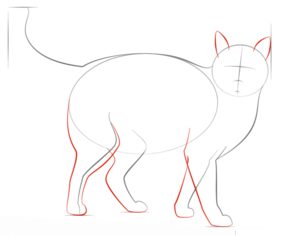 How to draw: Cat 4