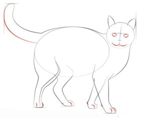 Zeichnen Tutorial: Katze