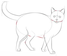 Zeichnen Tutorial: Katze