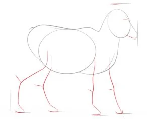  Foto zu Zeichnen Tutorial: Ziegen zeichnen schritt für schritt tutorial für Kinder 