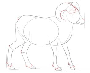 How to draw: Goats 5