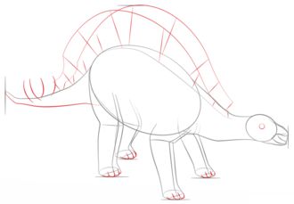 How to draw: Stegosaurus 5