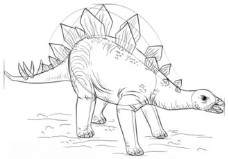 Come disegnare: Stegosaurus 8