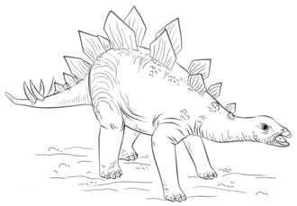 How to draw: Stegosaurus 9
