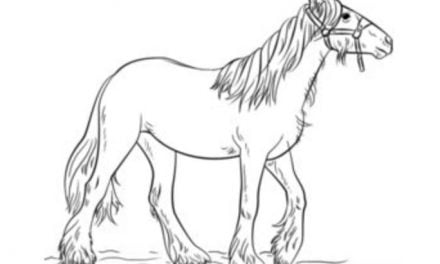 Jak narysować: Koń