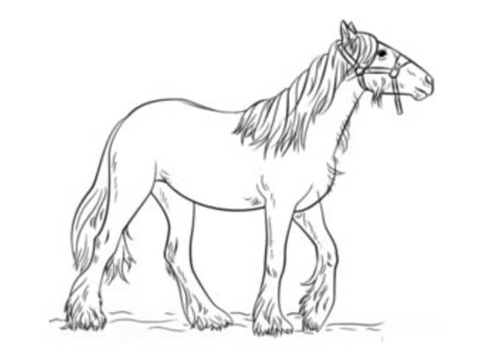 Zeichnen Tutorial: Pferd