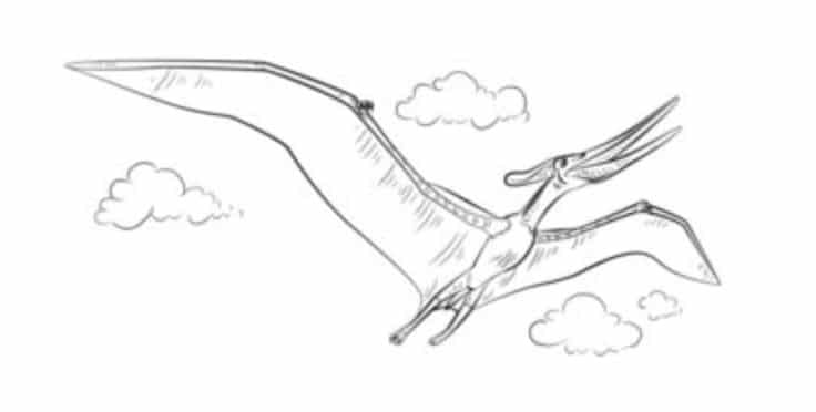Tutorial de dibujo: Pteranodon