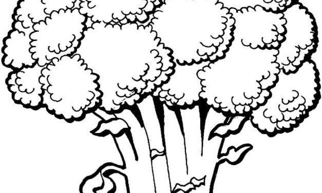 Dibujos para colorear: Planta de Brócoli