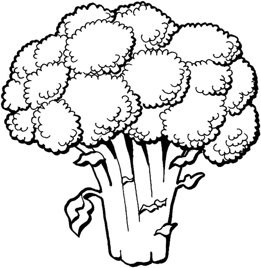 Disegni da colorare: Broccoli