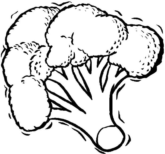 Disegni da colorare: Broccoli