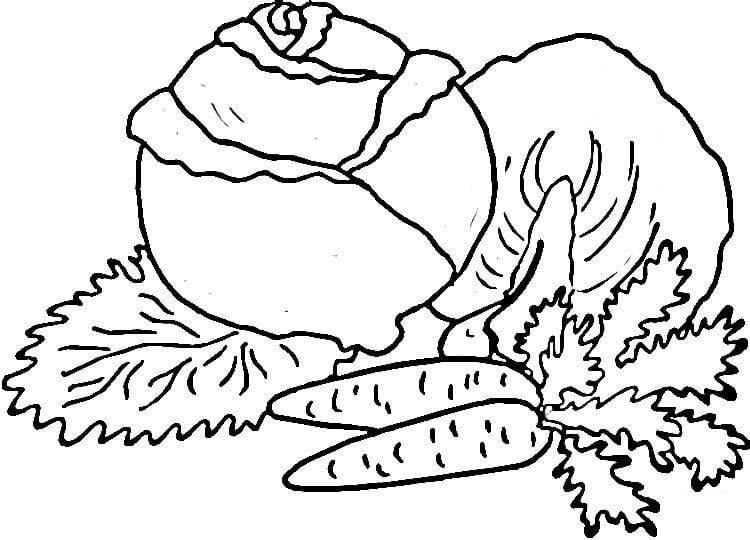 Coloring pages: Cabbage 5