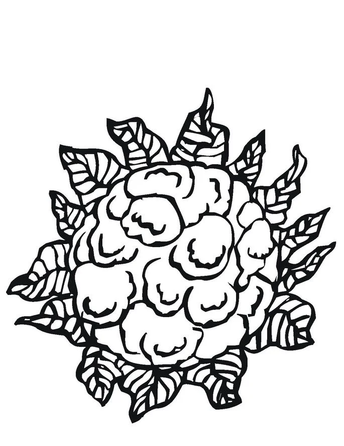 custard coloring pages