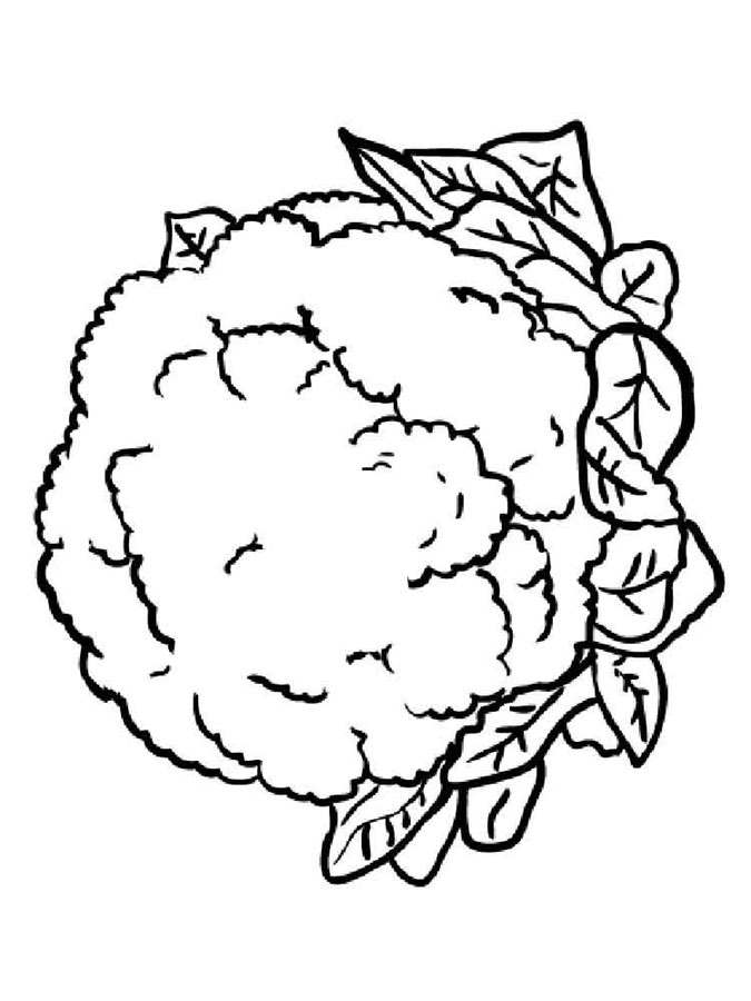 Coloring pages: Cauliflower 4