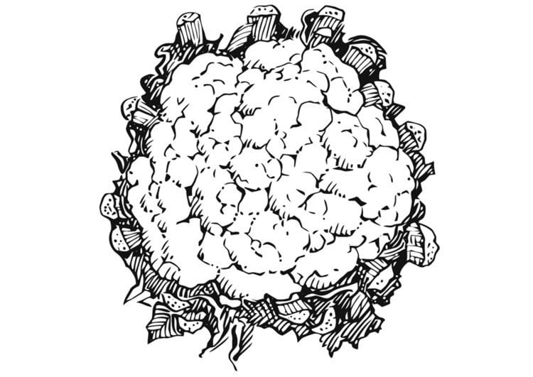 Coloring pages: Cauliflower