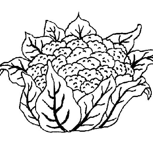 Coloring pages: Cauliflower 6