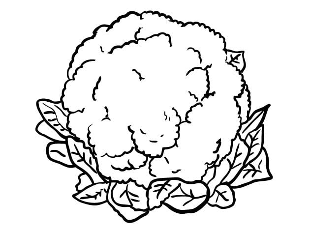 Coloring pages: Cauliflower 8