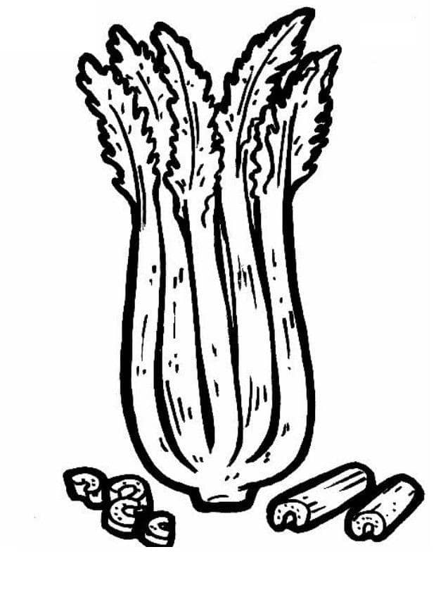Coloring pages: Celery 2