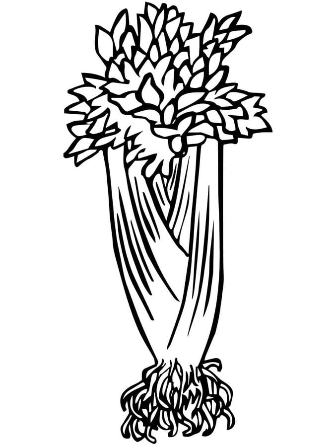 Coloring pages: Celery