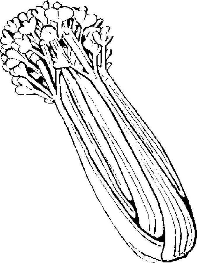 Coloring Pages Celery Printable For Kids Adults Free To Download