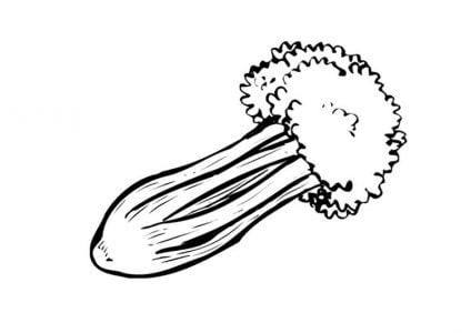 Coloring pages: Celery 5