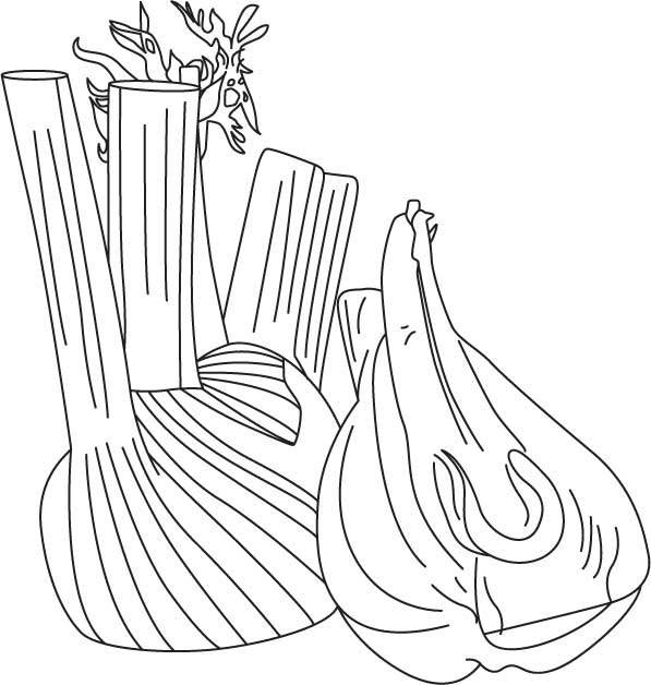 Coloring pages: Fennel 4