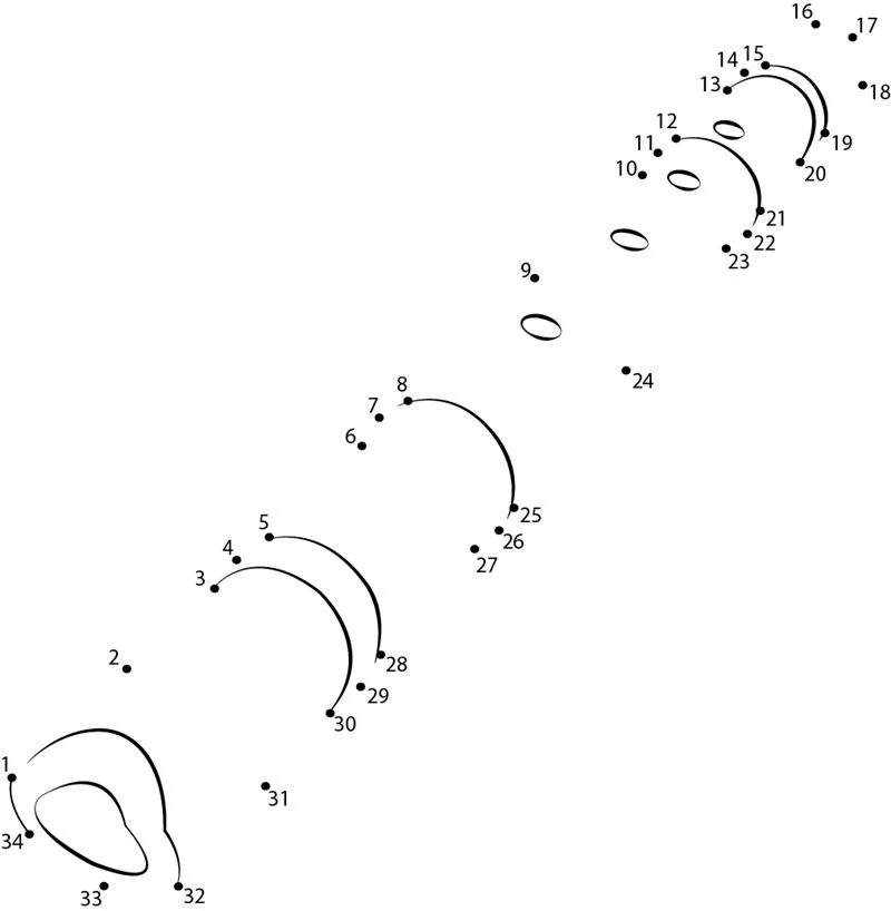 Unir puntos: Flauta 4