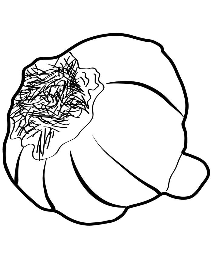 Coloring pages: Garlic