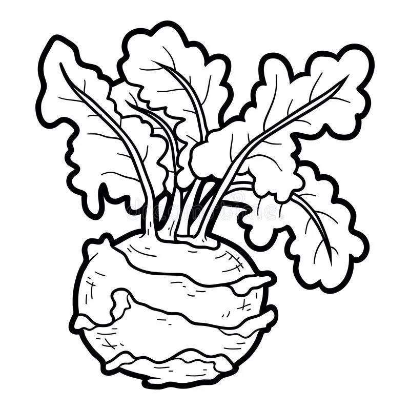 Kolorowanki: Kalarepa 3