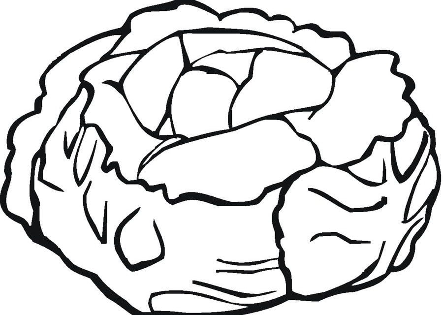 lettuce coloring page