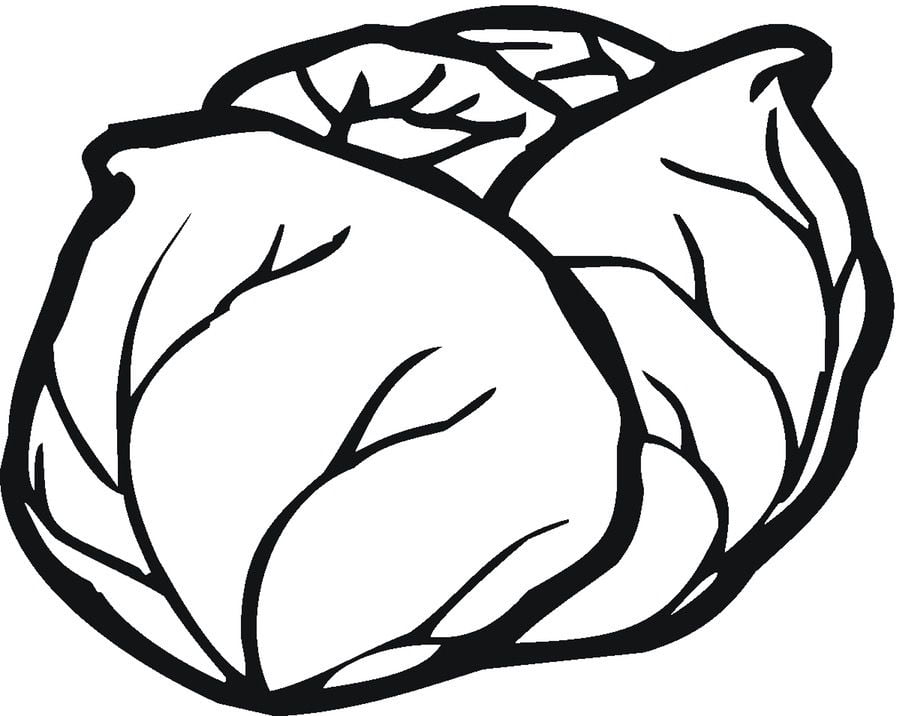 Coloring pages: Lettuce