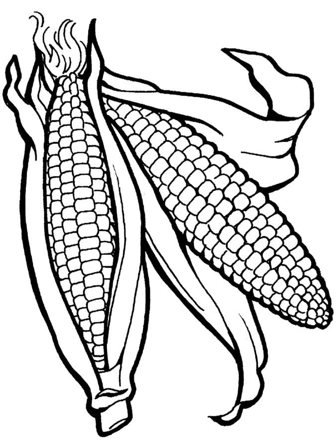 Coloring pages: Maize 87