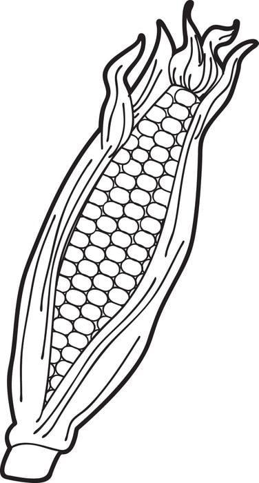 Coloring pages: Maize 88
