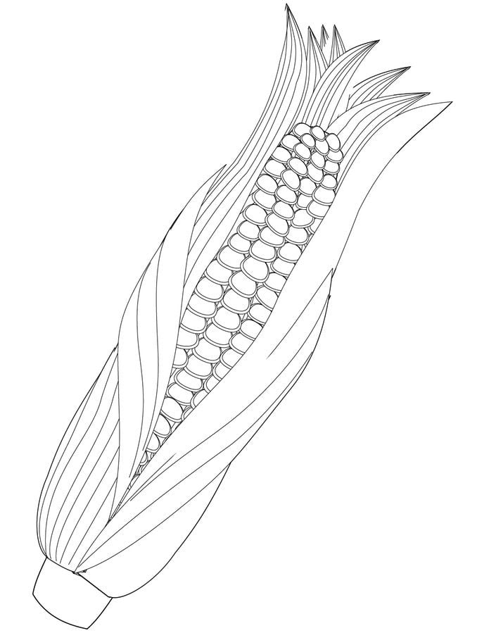 Coloring pages: Maize 90