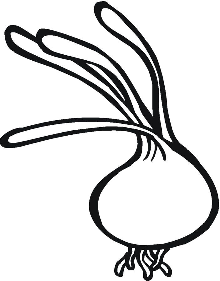 Coloring pages: Onions