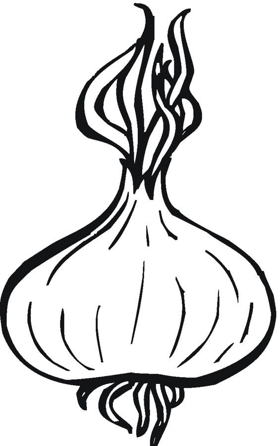 Coloring pages: Onions 78