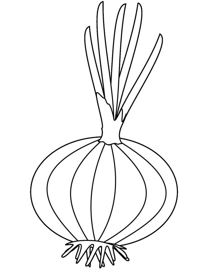 Coloring pages: Onions 80