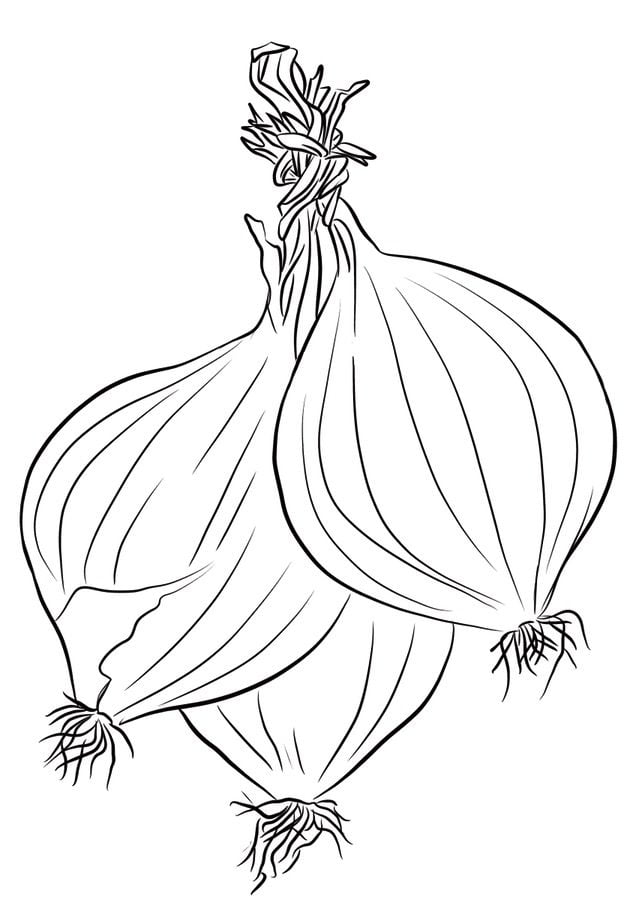 Coloring pages: Onions 82