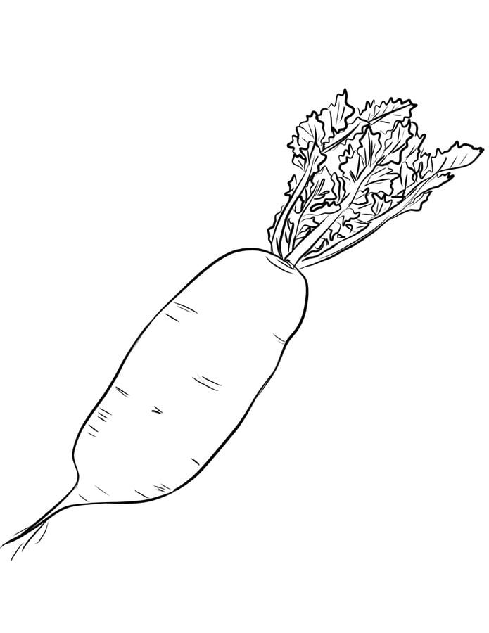 Coloring pages: Radish 31
