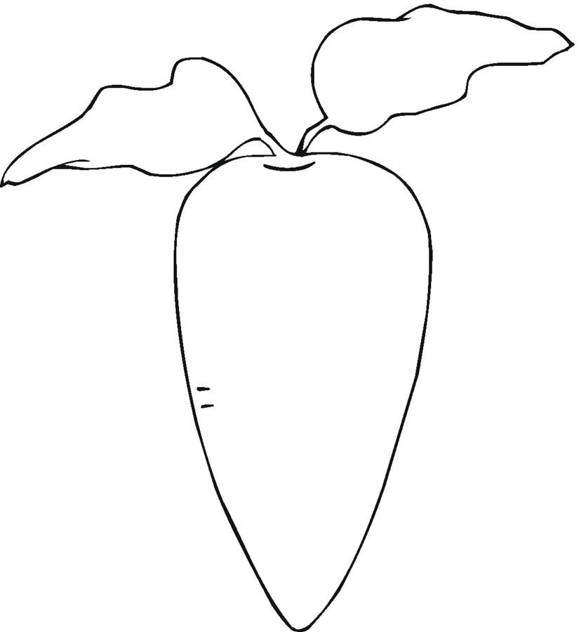 Coloring pages: Radish 32