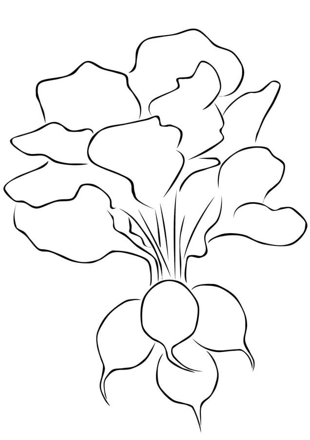Coloring pages: Radish 37