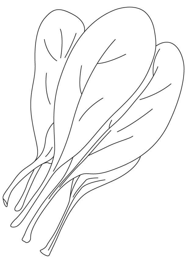 Coloring pages: Spinach 22