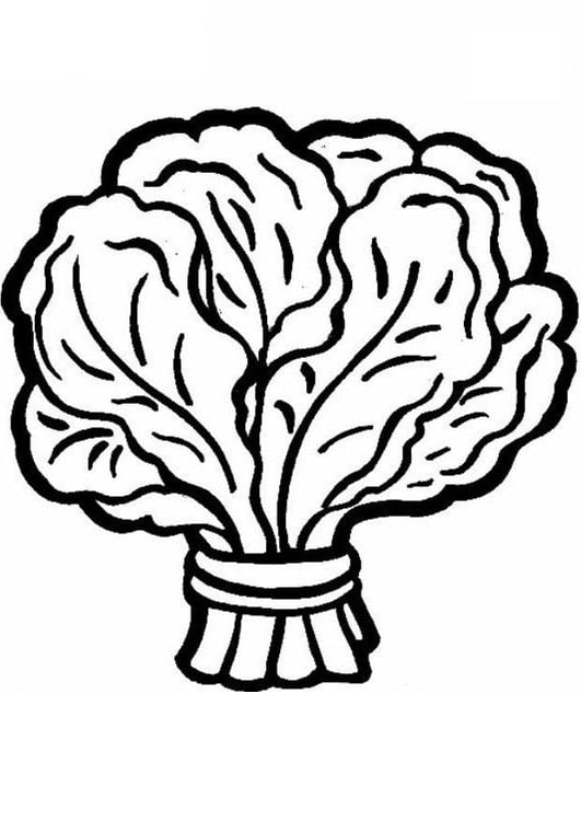 Coloring pages: Spinach 25