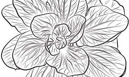 Coloring pages: Spinach