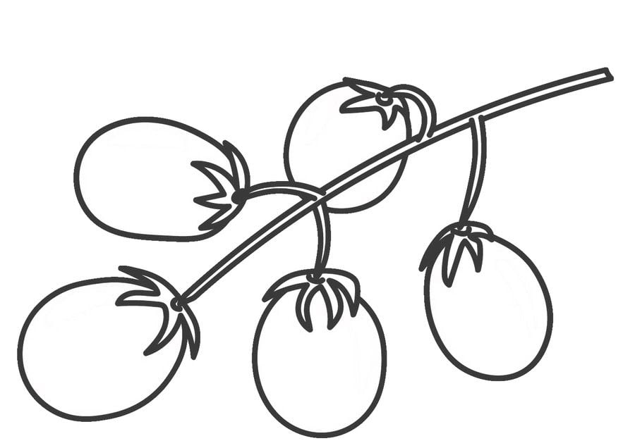 Coloring pages: Tomato 11