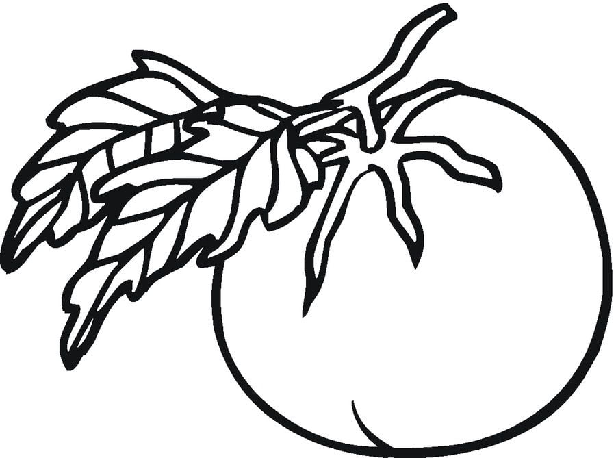 Coloring pages: Tomato 16
