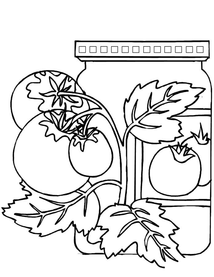Coloring pages: Tomato 18